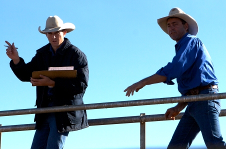 Tuesday daily cattle summary
